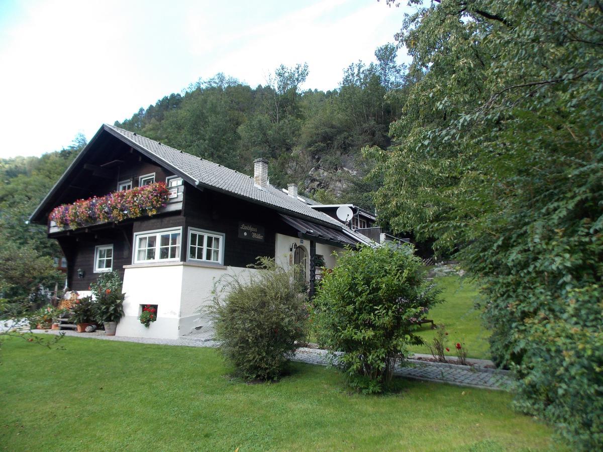 Apartment Edelweiss *